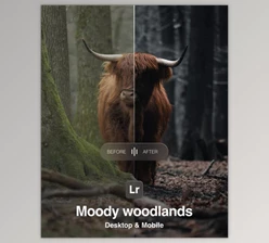 Amar Muric - Download Moody Woodlands Lightroom Presets