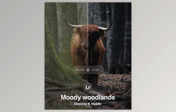 Amar Muric - Download <span class='badge badge-warning'>Moody</span> Woodlands Lightroom Presets