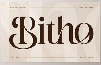 Download Bitho - <span class='badge badge-warning'>Modern</span> <span class='badge badge-warning'>Logo</span> Font (Creative Market 291823537)