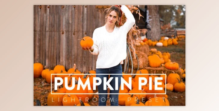 FilterGrade - Download PUMPKIN PIE Lightroom Mobile and Desktop Presets