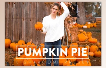 FilterGrade - Download PUMPKIN PIE <span class='badge badge-warning'>Lightroom</span> <span class='badge badge-warning'>Mobile</span> and Desktop <span class='badge badge-warning'>Presets</span>