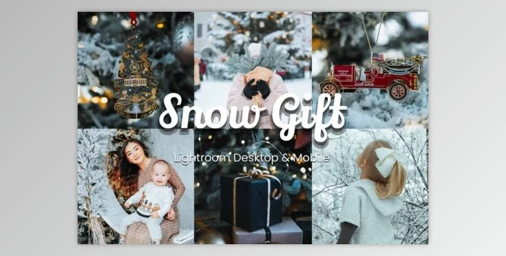 FilterGrade - Download Snow Gift Lightroom and Lut Bundle