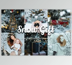 FilterGrade - Download Snow Gift Lightroom and Lut Bundle