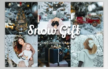 FilterGrade - Download Snow Gift Lightroom and Lut <span class='badge badge-warning'>Bundle</span>