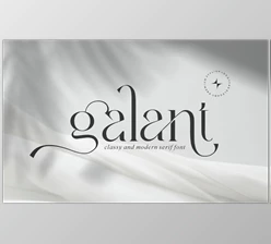 Download Galant || Modern Minimalist Serif Font (Creative Market 291830298)