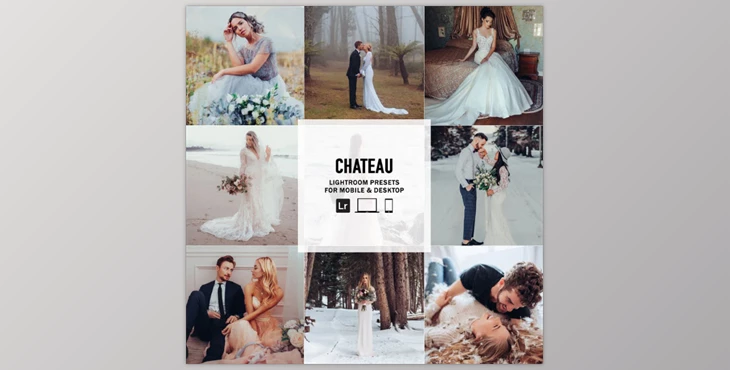 The Luxe Lens - Download Chateau - Single Color Palette Lightroom Presets & AI Tools