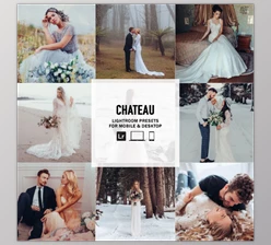 The Luxe Lens - Download Chateau - Single Color Palette Lightroom Presets & AI Tools