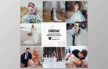 The Luxe Lens - Download Chateau - Single Color Palette Lightroom Presets & AI Tools