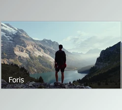 Gamut - Download Foris Commercial LUTs