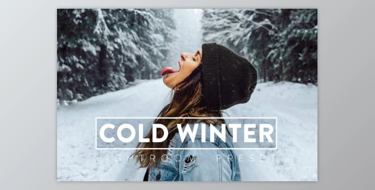 Filtergrade - Download Cold Winter Lightroom Preset