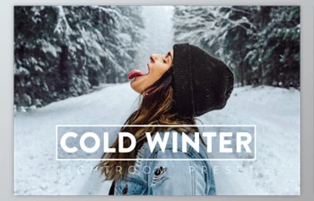 Filtergrade - Download Cold Winter <span class='badge badge-warning'>Lightroom</span> <span class='badge badge-warning'>Preset</span>