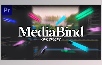 Motionplug - Download <span class='badge badge-warning'>MediaBind</span> v1.3.0 - Premiere Pro Extension