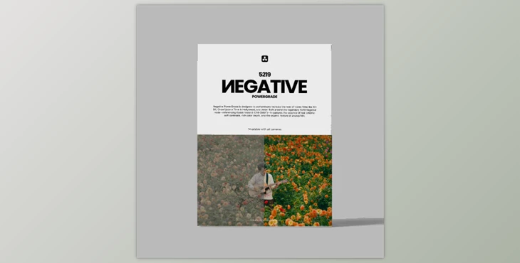 Gumroad - Download Loris Marie - Negative Powergrade for Davinci