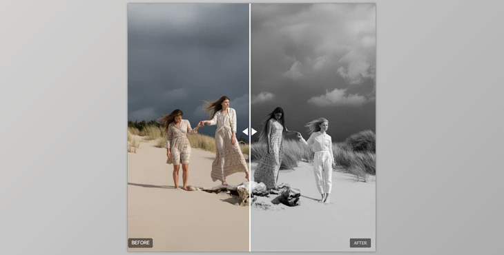 Artisan B&W Presets 