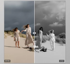 Artisan B&W Presets: Lightroom Desktop Presets by Mastin Labs