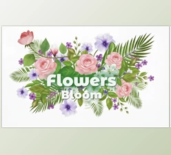 After Effects Flowers Bloom: Plugin by MotionDesk for Animate Realistic Flower Growth (v1.1.2)