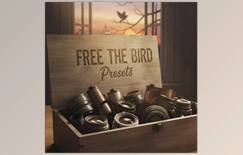 Free The Bird Presets: Lightroom Presets by Jai Long (<span class='badge badge-warning'>Cinematic</span> mood for portraits)