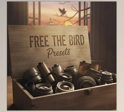Free The Bird Presets: Lightroom Presets by Jai Long (Cinematic mood for portraits)