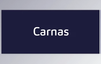 My <span class='badge badge-warning'>Fonts</span> - Download Carnas <span class='badge badge-warning'>Font</span> <span class='badge badge-warning'>Family</span> 16xOTF