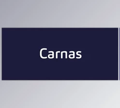 My Fonts - Download Carnas Font Family 16xOTF