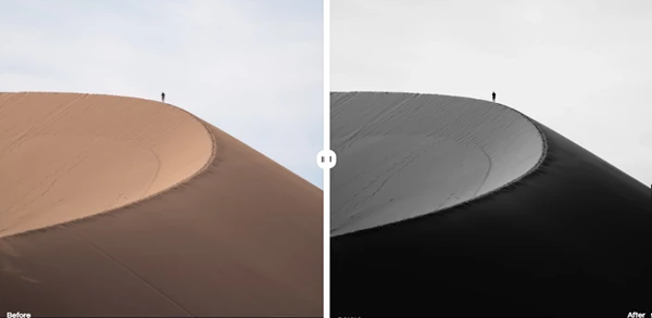 The Complete Lightroom Bundle by Dopamine Frame