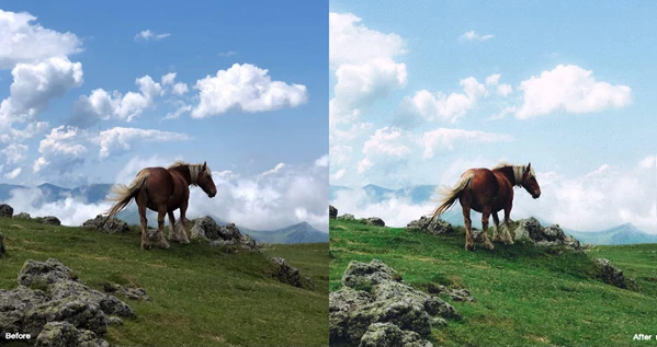 iPhone Looks Photo Presets by Dopamine Frame