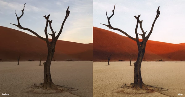 iPhone Looks Photo Presets by Dopamine Frame