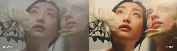 Straw and Sun: LUTs and Presets by GradeFruit