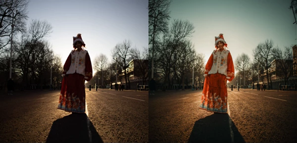 ELYSIUM Presets Pack by Pattakespictures