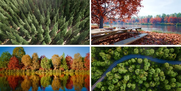 Trees