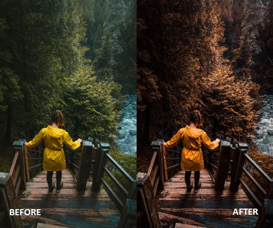 Thrill Collection