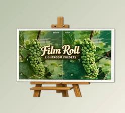 Film Roll Collection: Professional Film Look Presets by PresetPro