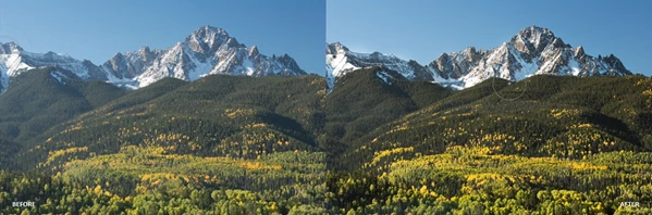 Brush System