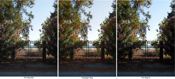 Fujify - Sony Lightroom Profiles