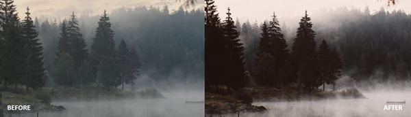 Rustic Earth