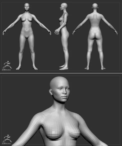 Average Body Lowpoly Basemesh Set by Flipped Normals 