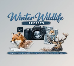 10 x Lightroom Presets, Winter Wildlife Presets, Christmas Preset by Filtergrade