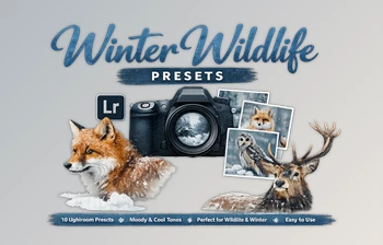 10 x Lightroom <span class='badge badge-warning'>Presets</span>, Winter Wildlife <span class='badge badge-warning'>Presets</span>, Christmas Preset by Filtergrade