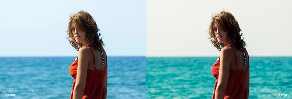 Elite Portra for Adobe