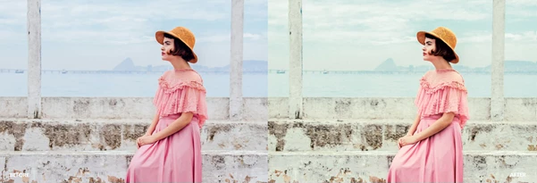 Elite Portra for Adobe