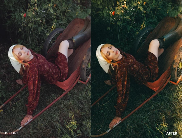 Disposable Camera Presets