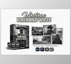 Vintage Black and White: LUTs and Presets by GradeFruit