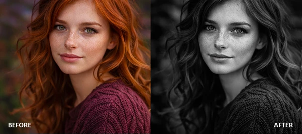 TK Grayscale Plugin for Photoshop