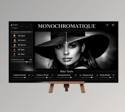 Monochromatique Profiles and B&W Intensity Enabled Tools by The Editorial Edit