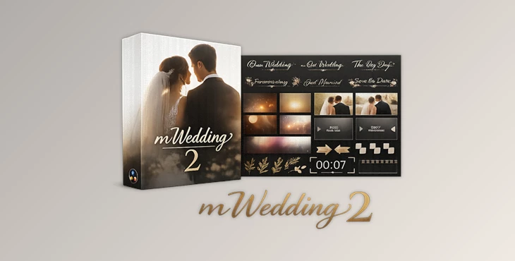 mWedding 2 DVR