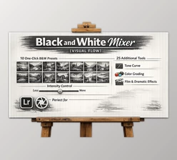 Black and White Mixer (Visual Flow) - Versatile BW tools by DVLOP