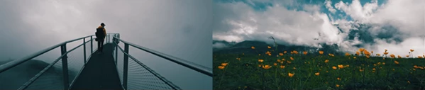 Pro Camera Zoom Transitions