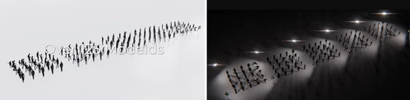Humans Library