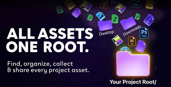 Root