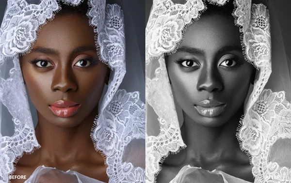 PHLEARN Wedding LUTs